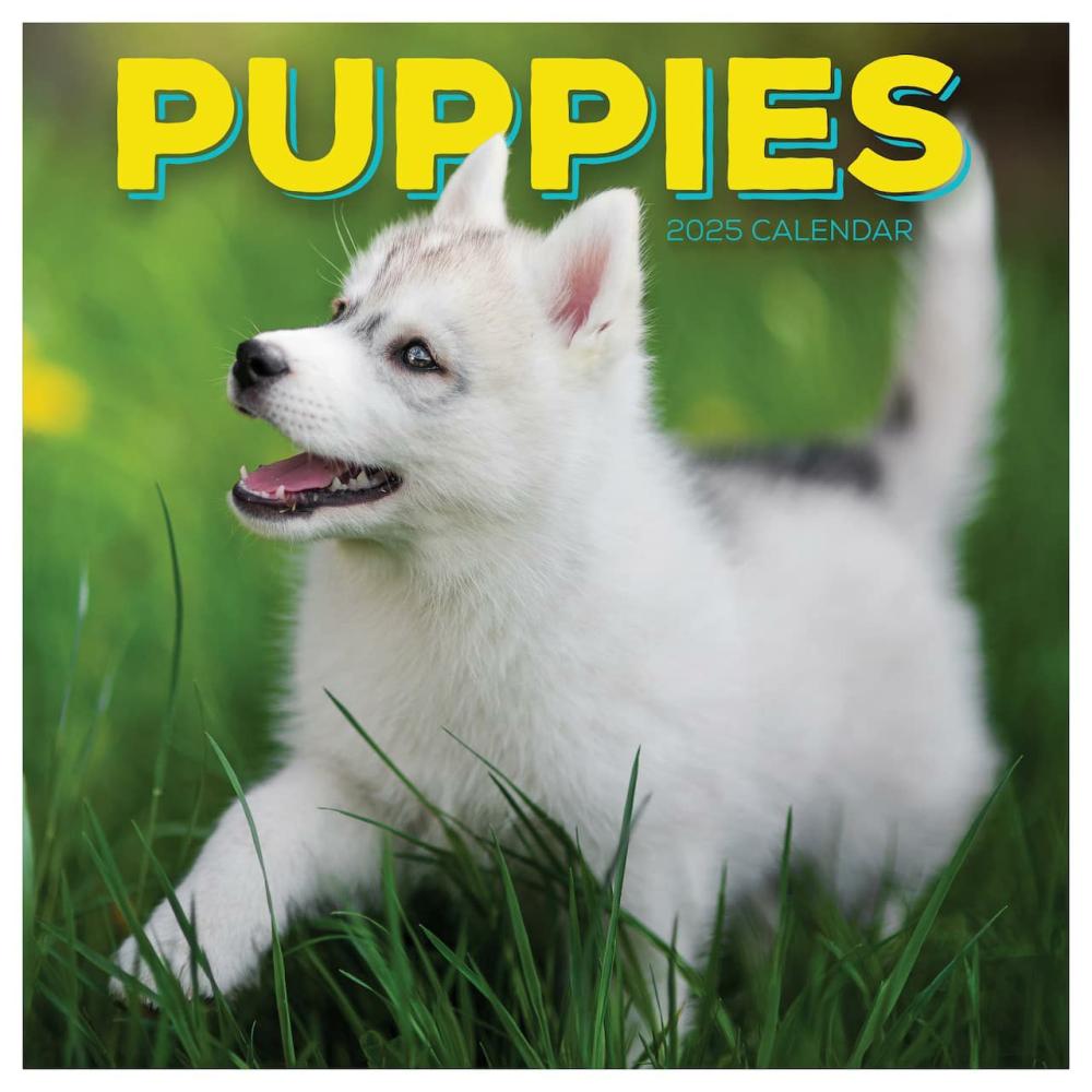 2025 Puppies Wall Calendar  |  Calendars & Planners Calendars & Planners Calendars & Planners