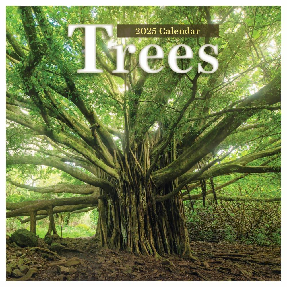 2025 Trees Wall Calendar  |  Calendars & Planners Calendars & Planners Calendars & Planners